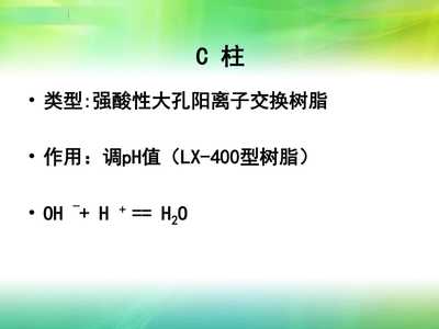 【树脂在果汁加工中的应用】PPT模板
