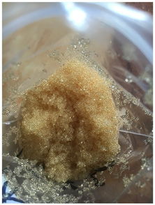 水处理树脂报价 厂家