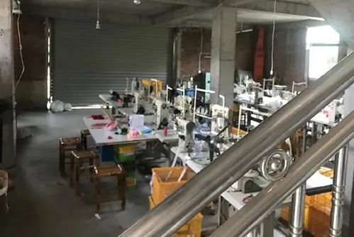 落网 婚礼散场新郎殒命,凶手竟是 野人